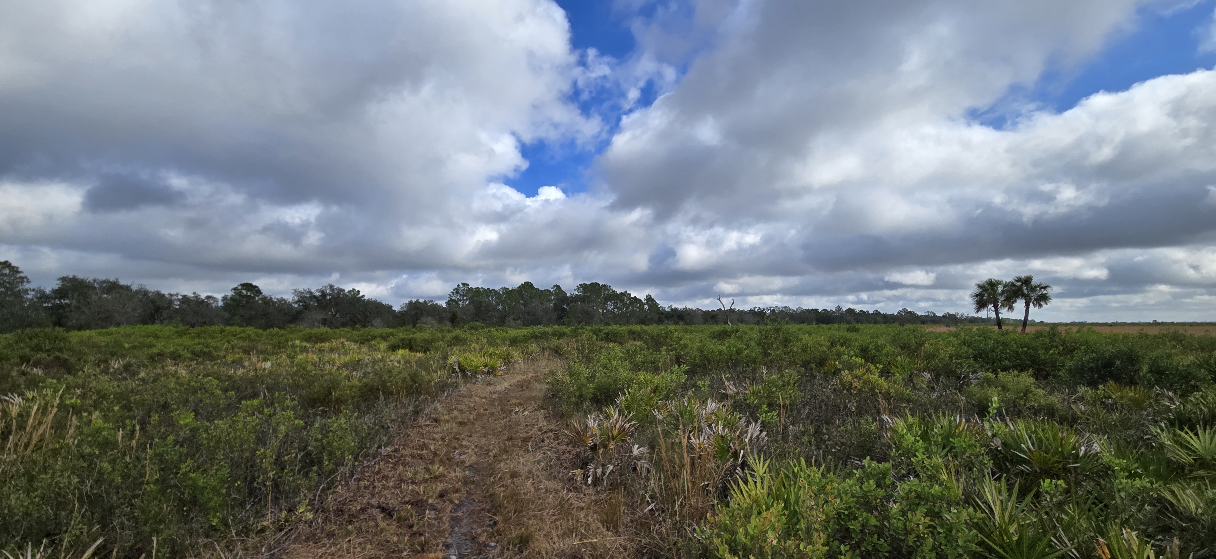 Achieving a Goal: hiking 20 miles in Myakka River State Park