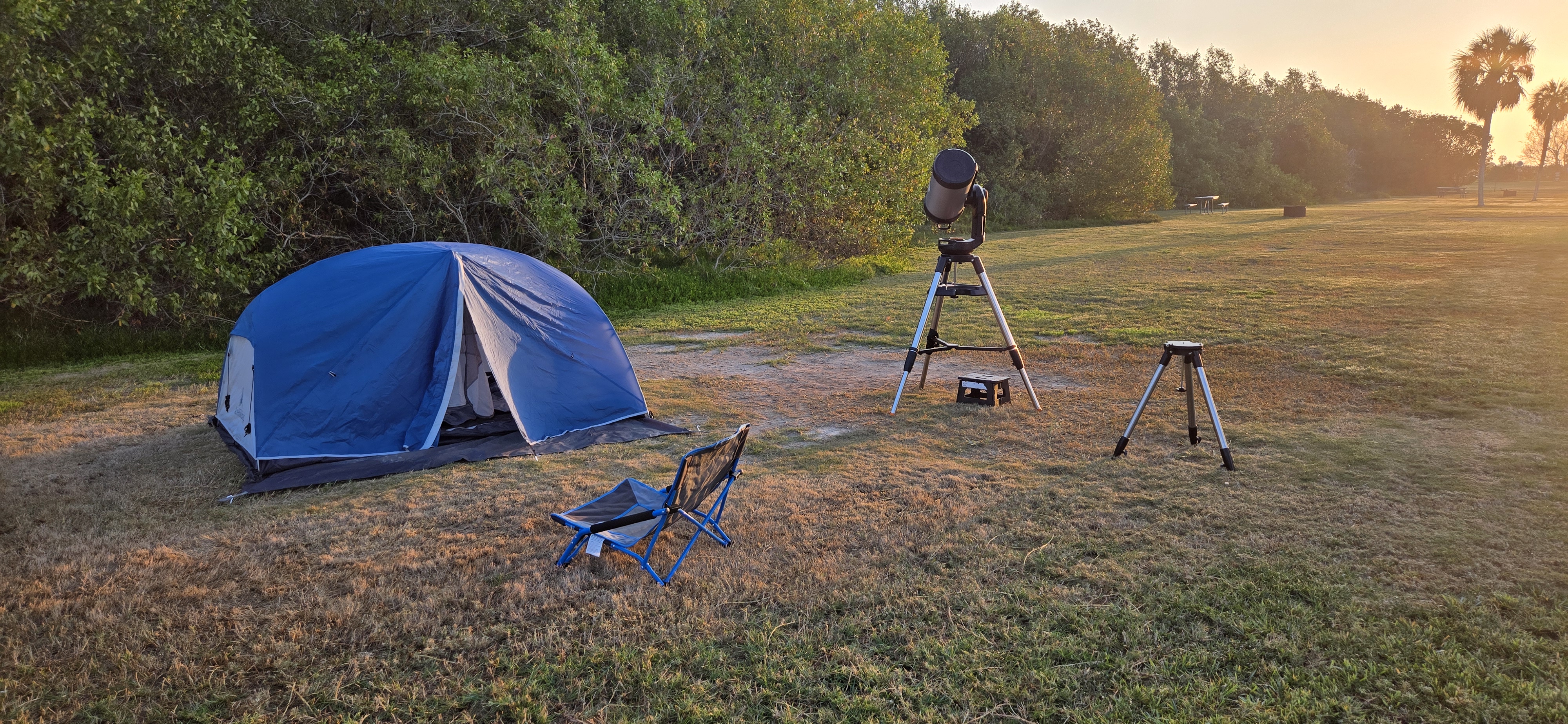 Exploring Everglades: A Hiker’s Perspective